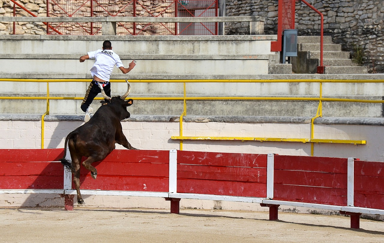 丹麦公开赛国羽收获3冠2亚 王祉怡2-0安洗莹问鼎.
