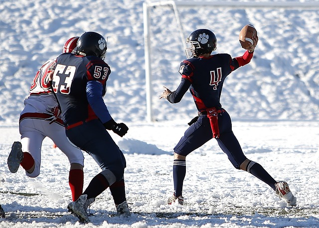 而瓦格纳则 而瓦格纳则