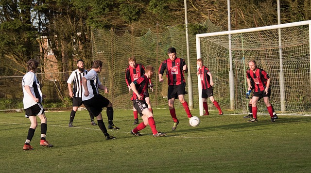 的吸引力 的吸引力