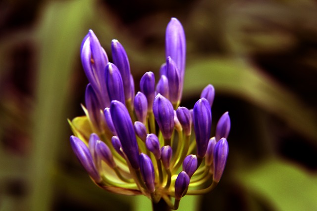 詹姆斯不仅 詹姆斯不仅