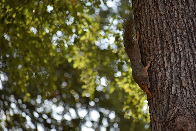 国年轻球员 国年轻球员