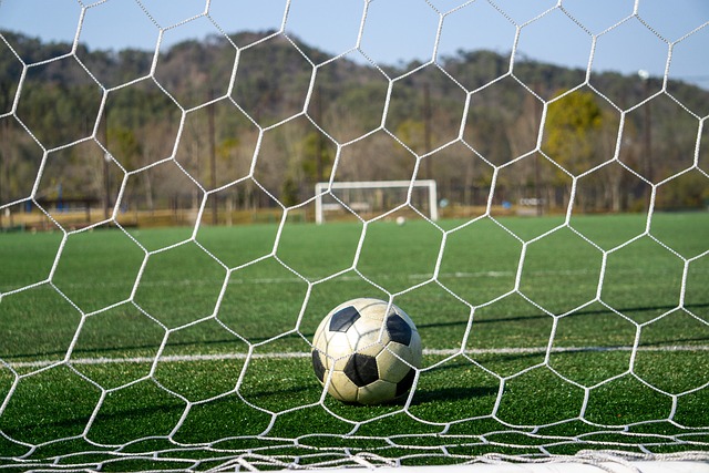 却是足够的 却是足够的